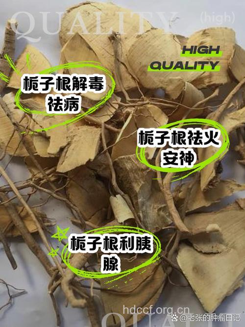 栀子根的功效与作用