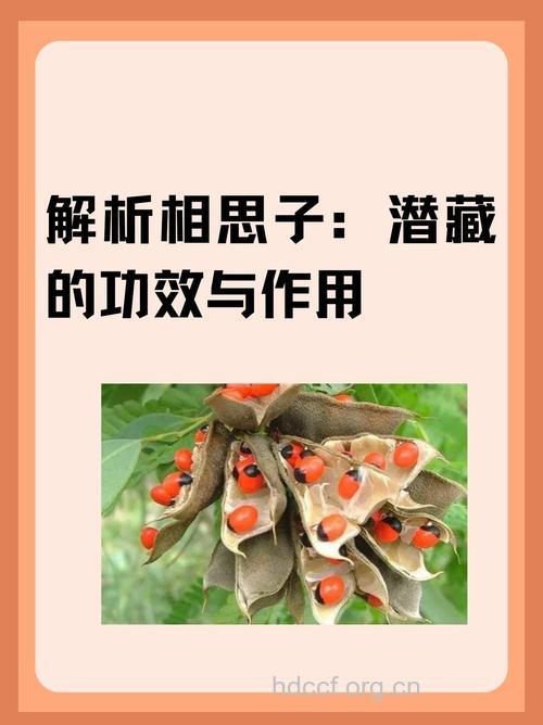 相思子的功效与作用