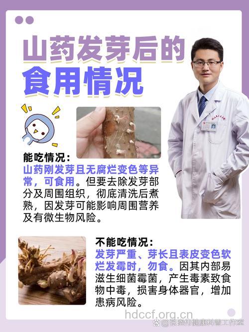 食用山药必知:发芽发黑还能吃吗