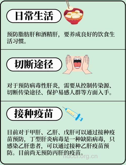 病毒性肝炎怎么预防传染方法
