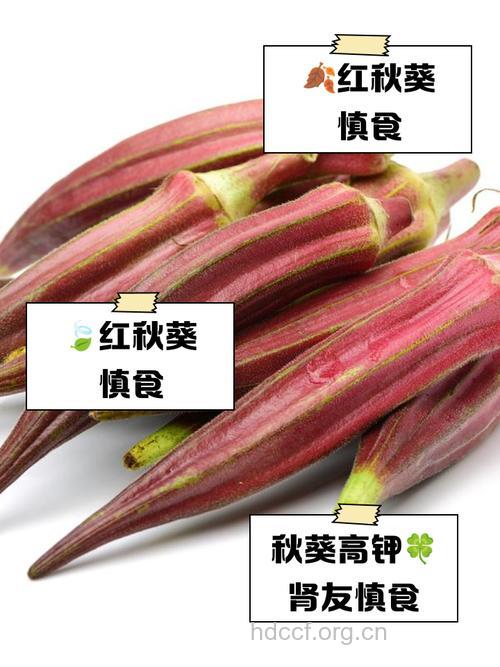 孕妇可以吃红秋葵吗 食用过多会缺钙