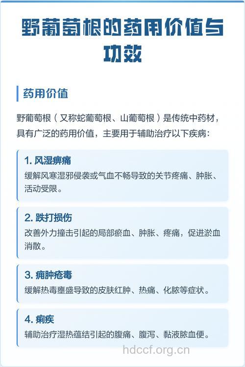 葡萄根的功效与作用