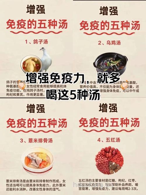 免疫力低下不要慌 吃了药膳能提高