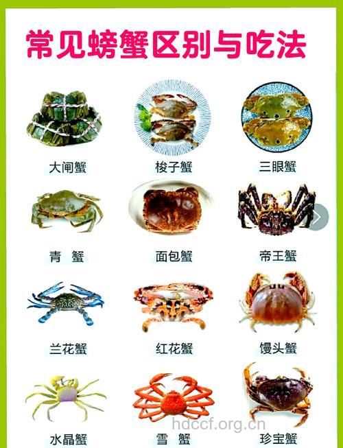 秋季螃蟹鲜美 吃蟹要记住这四点