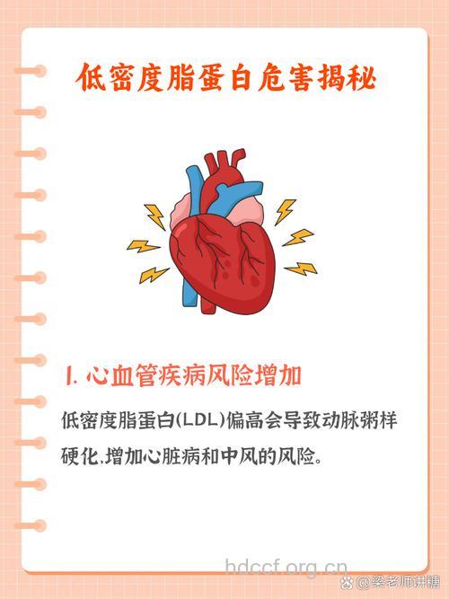 血清尿酸能否作为心脏病危险因素?