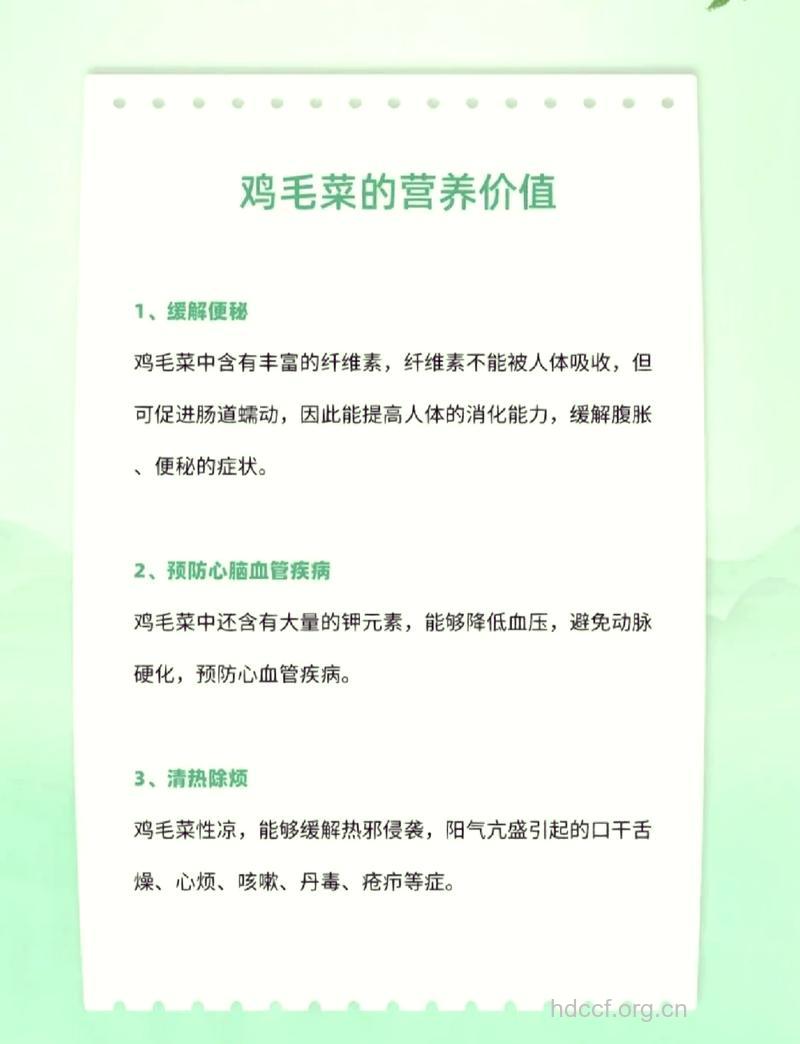 鸡毛菜的热量是多少 盘点鸡毛菜的营养价值