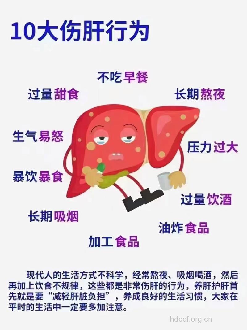 严重损害肝脏的8个坏习惯