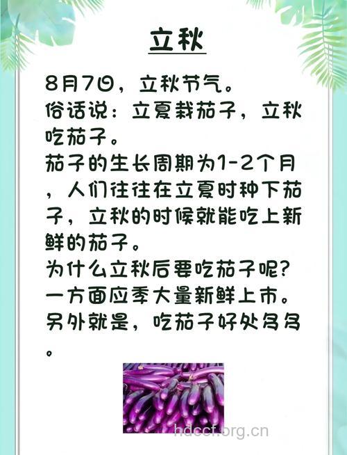 吃茄子有好处 盘点茄子的7大功效