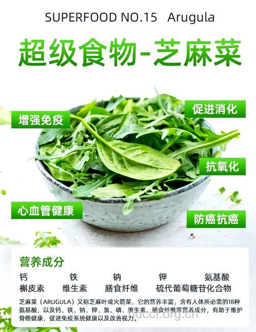 芝麻菜的功效与作用