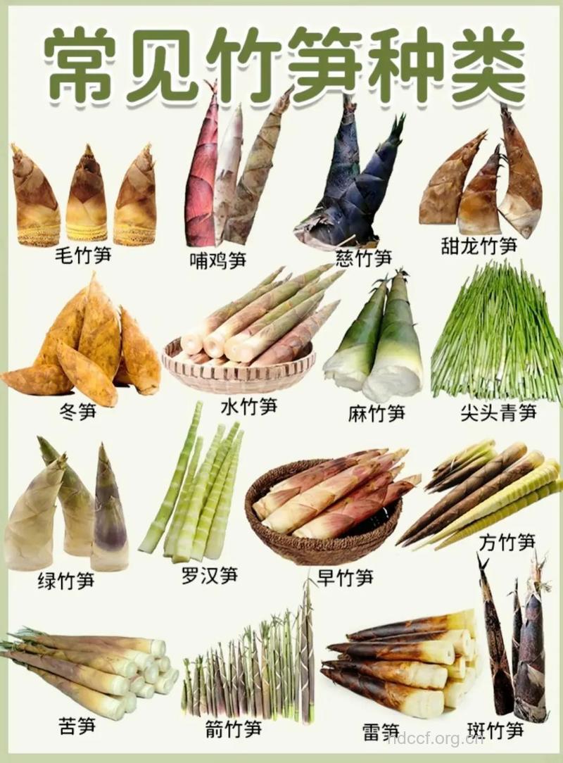 可以保肝防癌的三种笋