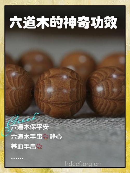 顺江木的功效与作用