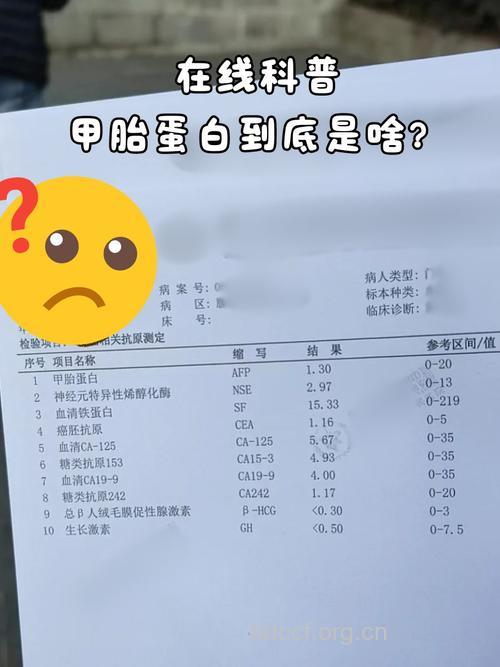 甲胎蛋白是什么