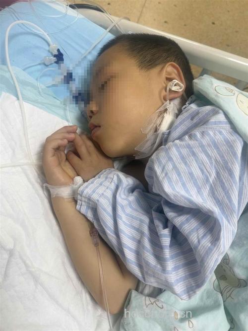 毒蘑菇致使6岁孩子肝昏迷