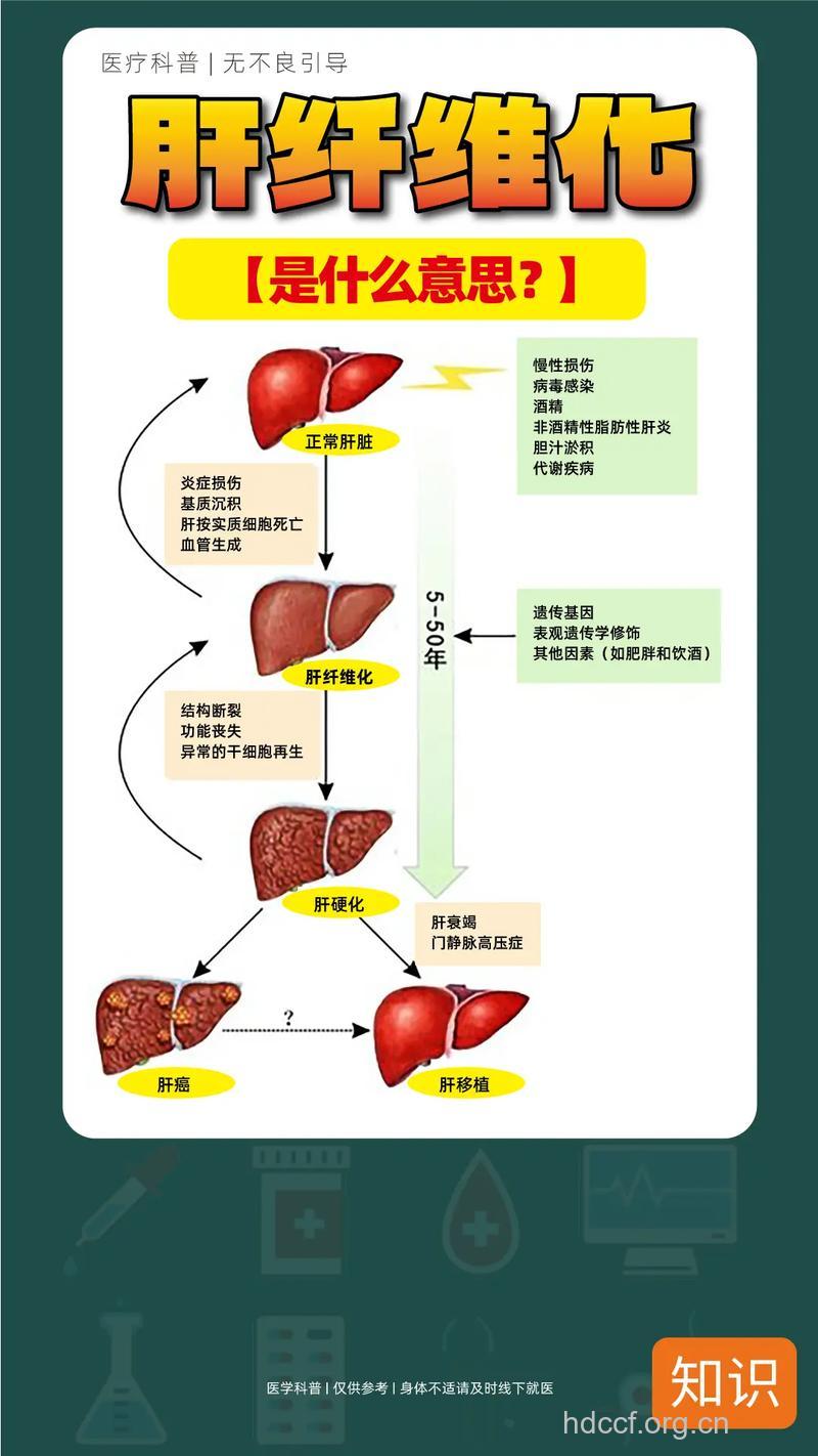 肝纤维化和肝病之间有联系吗?