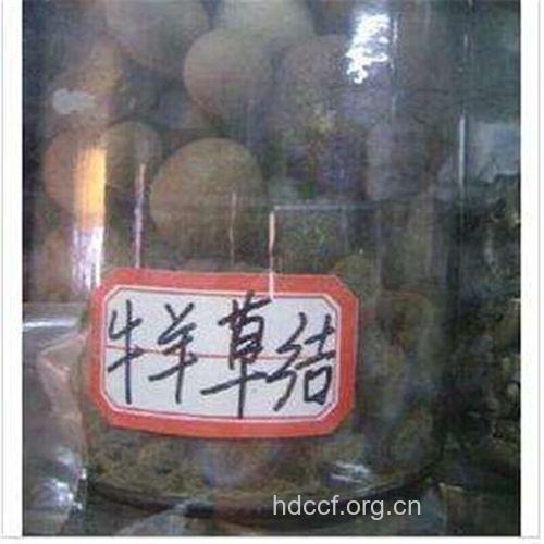牛羊草结的功效与作用