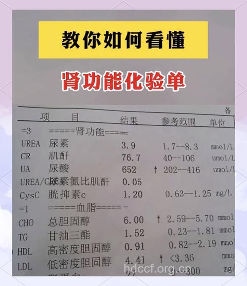 四项常规体检能够发现肾病