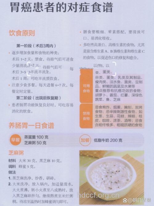 晚期胃癌饮食要如何调节呢