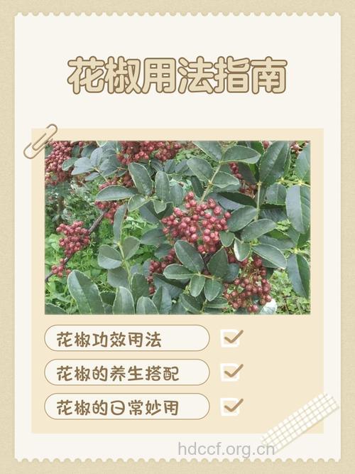 西藏花椒的功效与作用