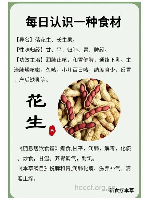 花生不仅是“长生果” 更是女人养颜必备小零食