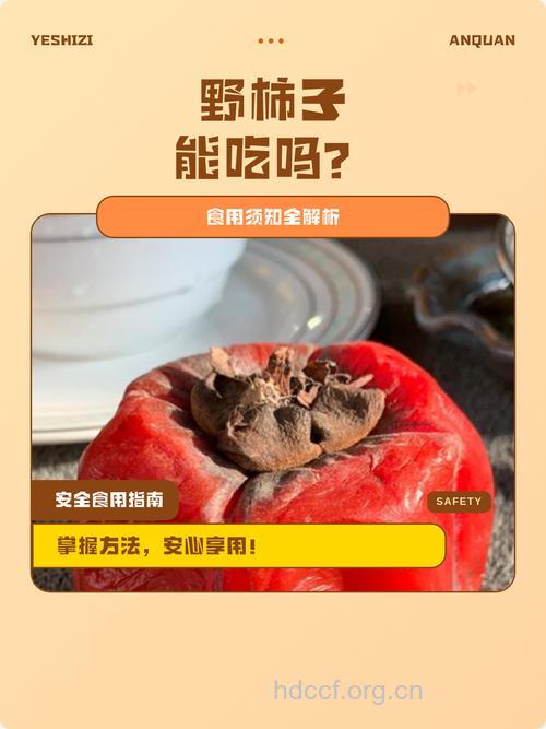 野柿子能吃吗 野柿子的吃法