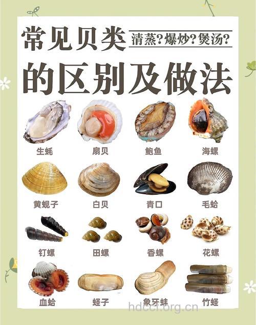 夏季吃贝类警惕中毒 如何健康吃贝类