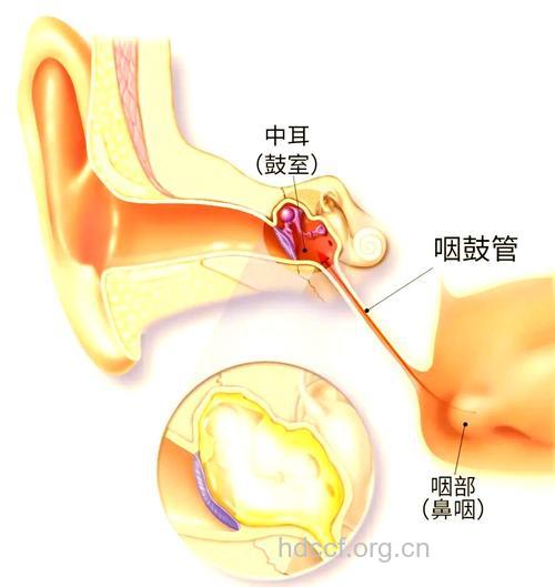 咽鼓管功能要检查哪些