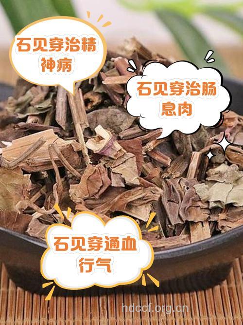 石见穿的功效与作用