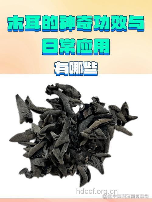 毡盖木耳的功效与作用
