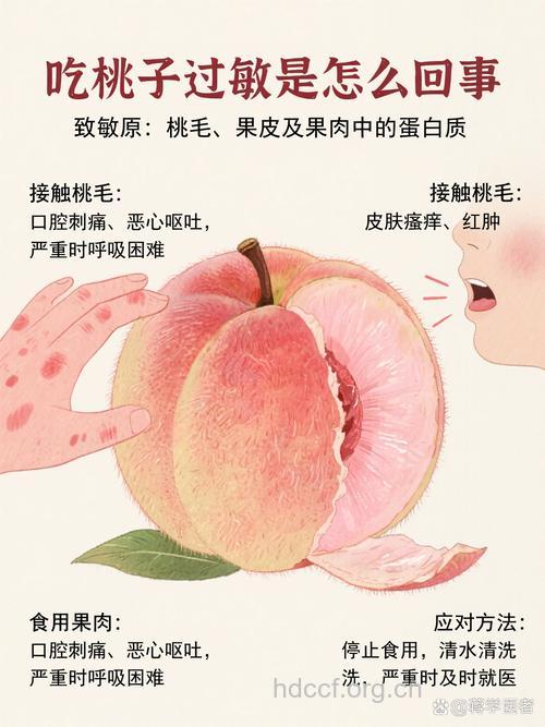 夏季吃毛桃过敏怎么办 吃桃禁忌不可忽视