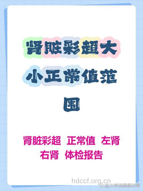 肾脏超声检查介绍与正常值