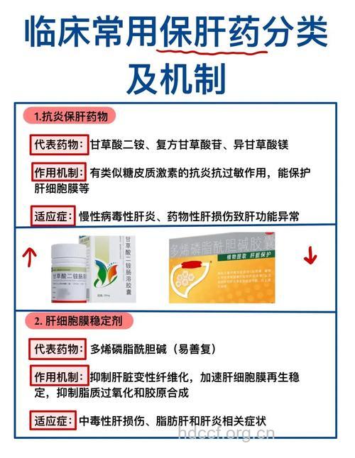 肝病用药前你该知道的事
