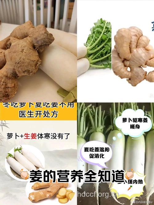 冬吃萝卜夏吃姜 盘点最适合吃姜的几种人