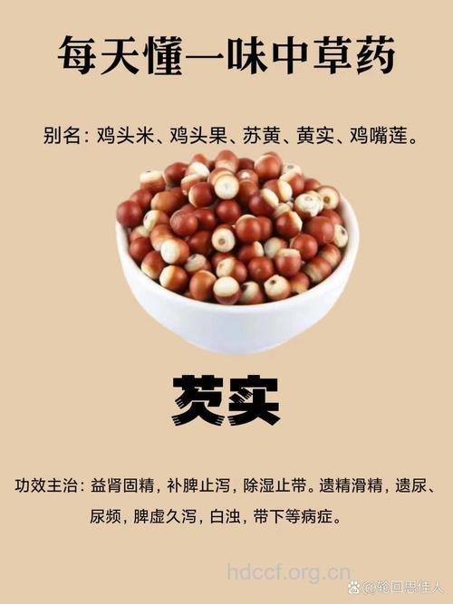 芡实根的功效与作用