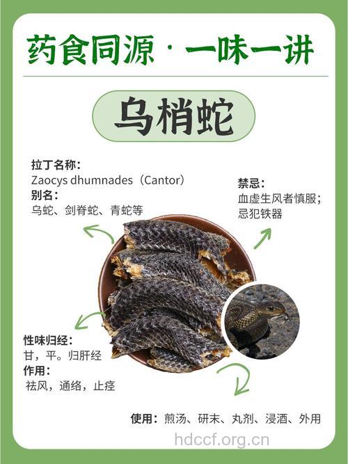 乌蛇的功效与作用