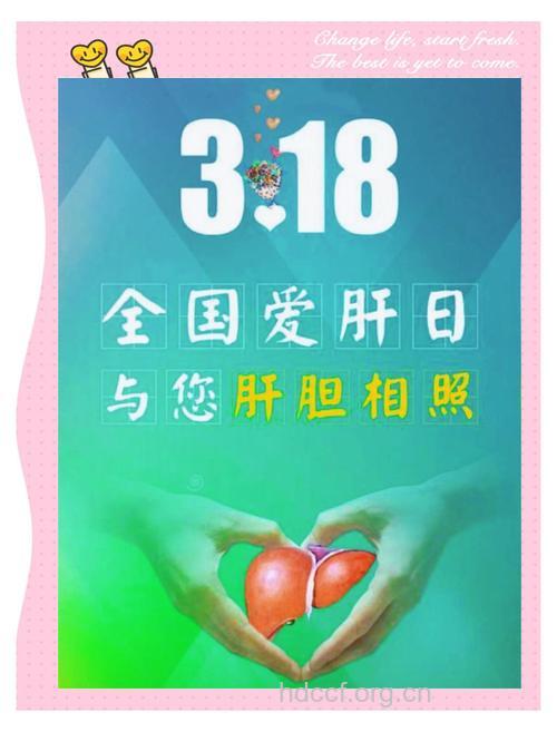 爱肝日来了关注一下你的肝吧