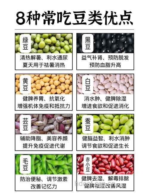 养肾食物推荐豆类 介绍3种常见豆