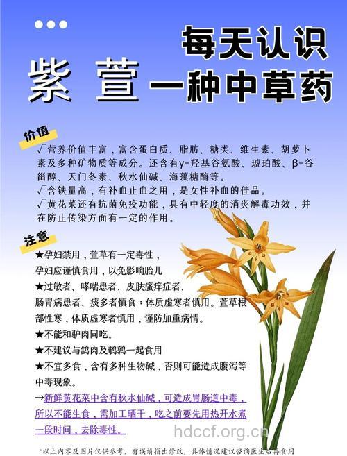 萱草的功效与作用