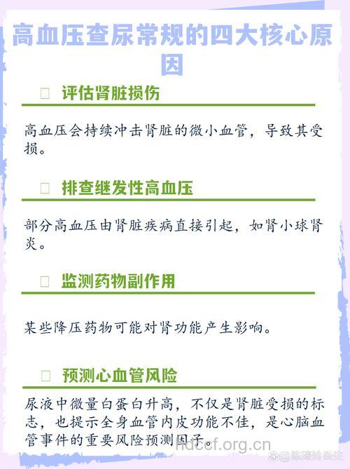 高血压为什么要进行尿常规检查