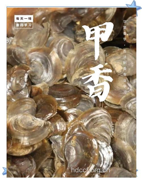 甲香的功效与作用