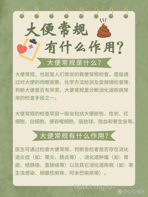 粪便常规检查有什么意义