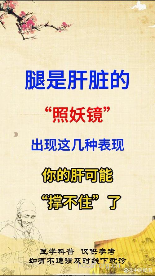 腿短的人容易得乙肝