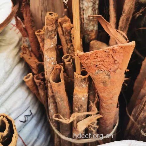 四方木皮的功效与作用