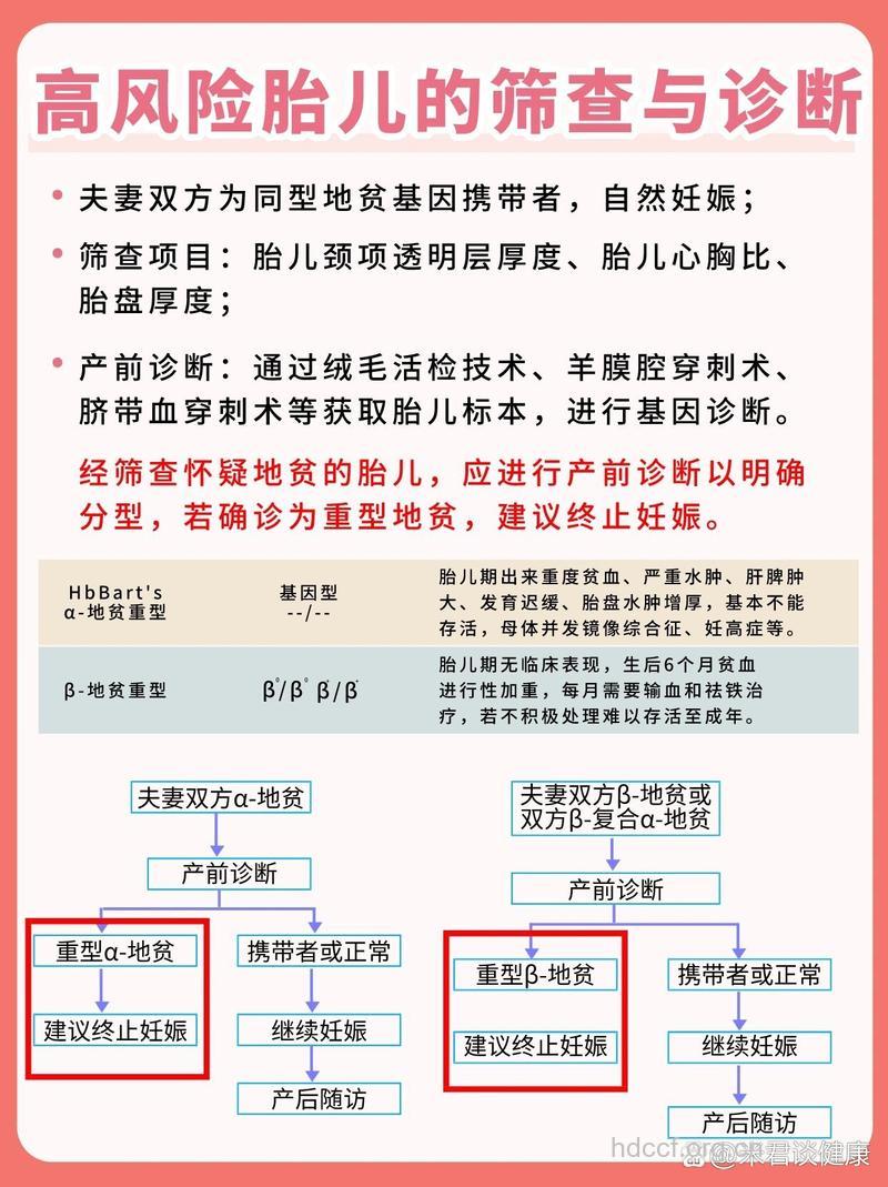 怎么做孕前检查预防地中海贫血