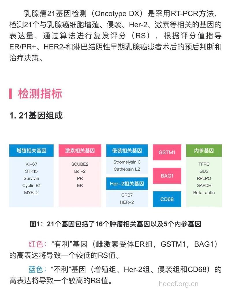 什么疾病可进行基因检测