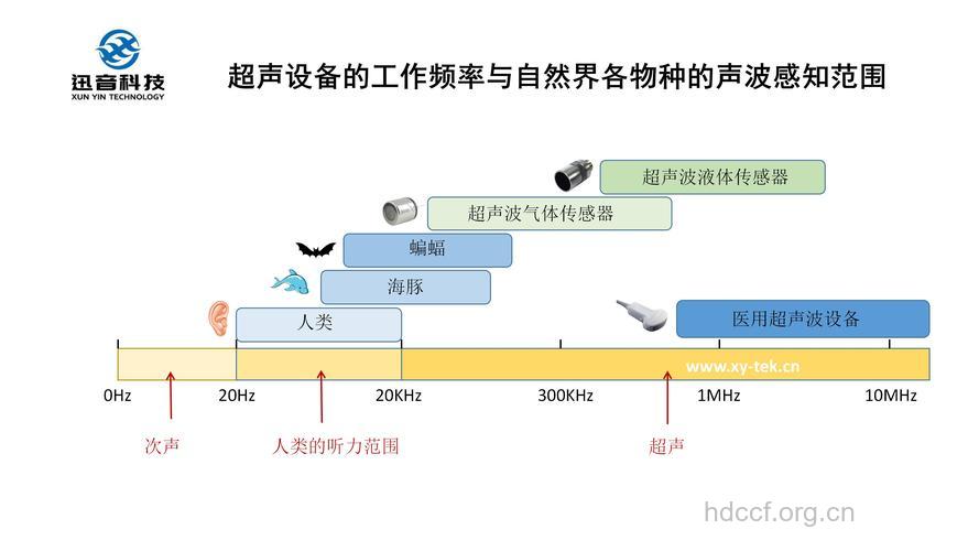 超声波有哪四种类型？