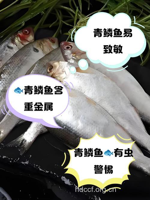 青鳞鱼的功效与作用
