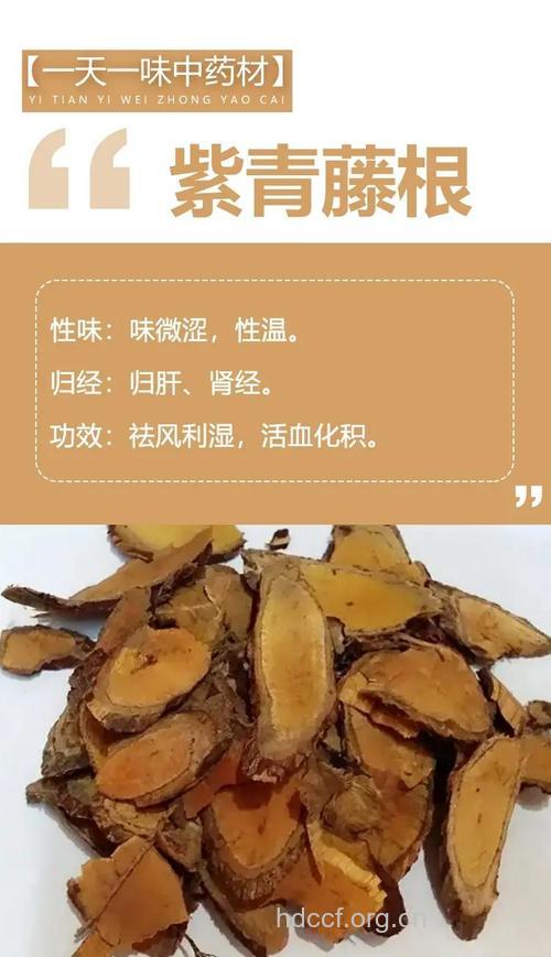 紫青藤根的功效与作用