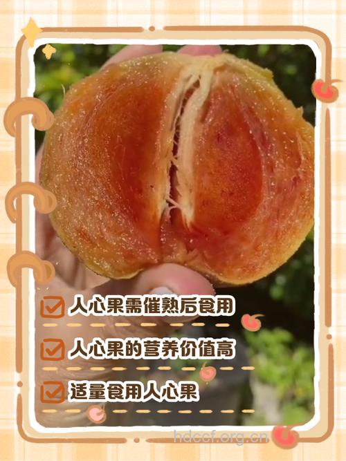 人心果可以煲汤吗 人心果煲汤的做法