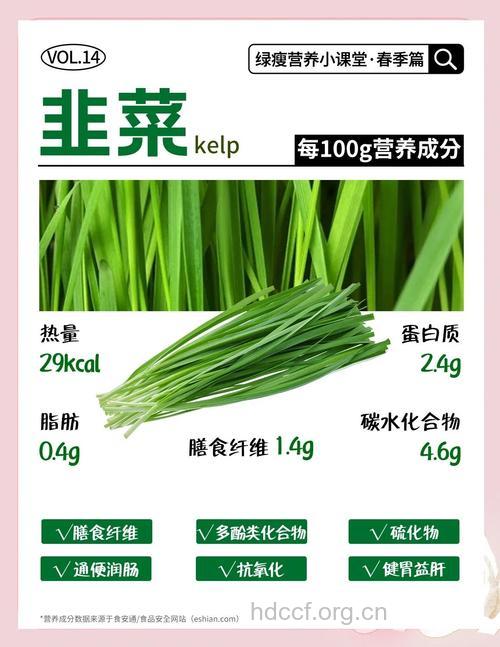 春季必吃韭菜 韭菜有何功效