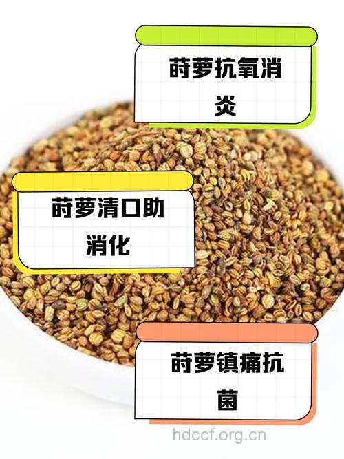 莳萝子的功效与作用